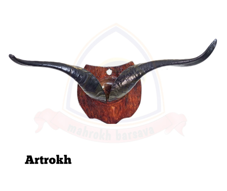 هدمانت شاخ چشم زخم