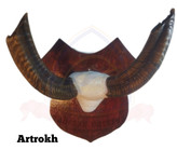 جاکلیدی شاخ مدل لوتوس