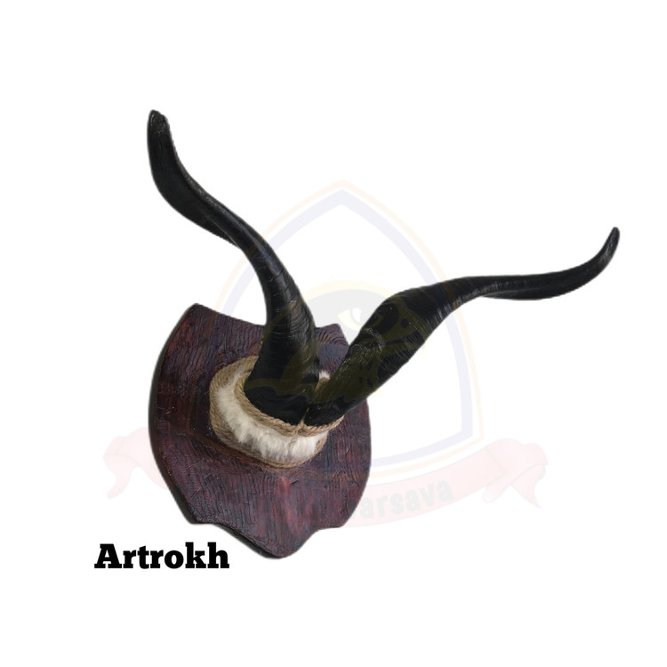 قیمت شاخ بز