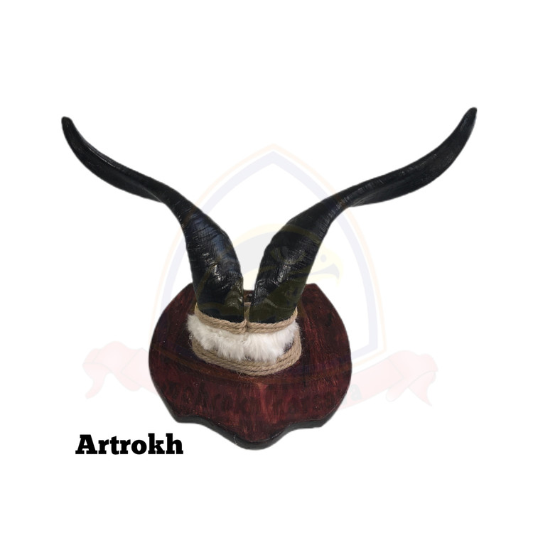 هدمانت شاخ بز چشم زخم