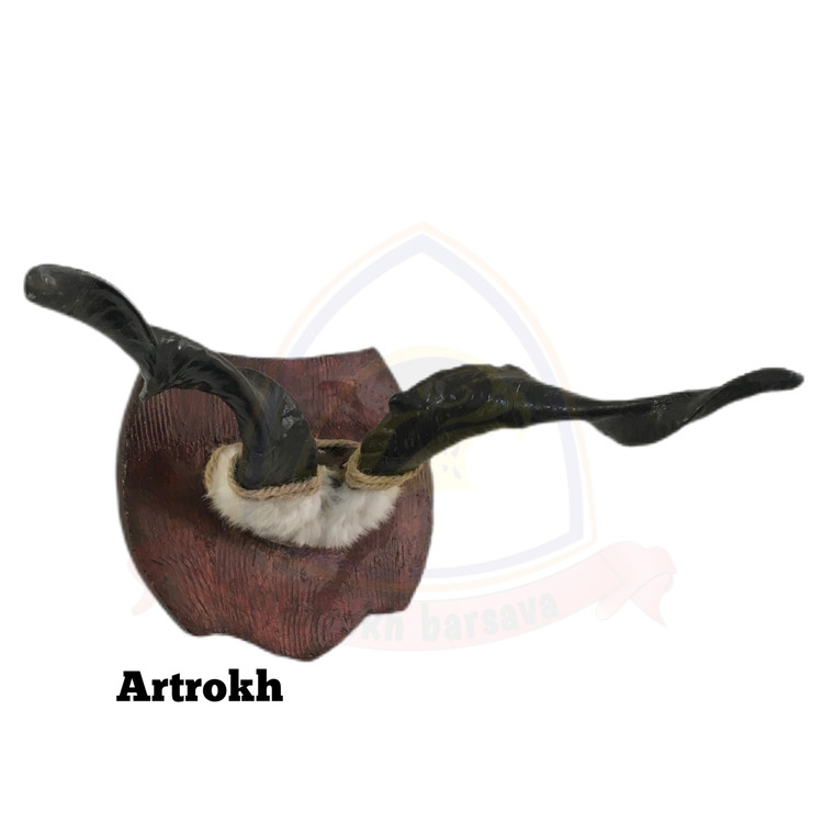 شاخ بز آرمیلا دو پیچ