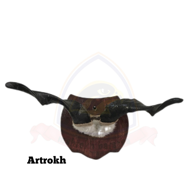 شاخ بز چشم زخم شاخ مار خور