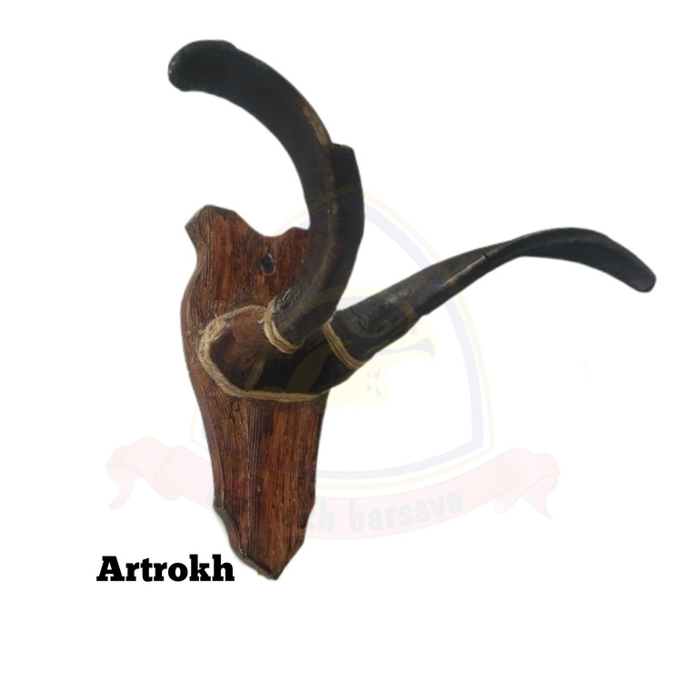 دیوارکوب دکوری شاخ