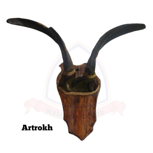 هدمانت شاخ بز