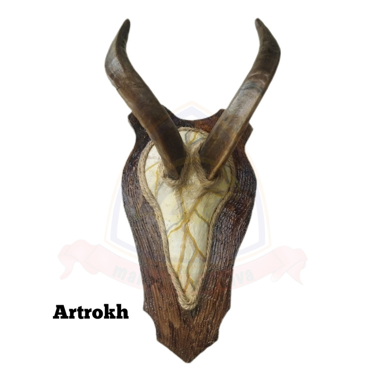 شاخ بز