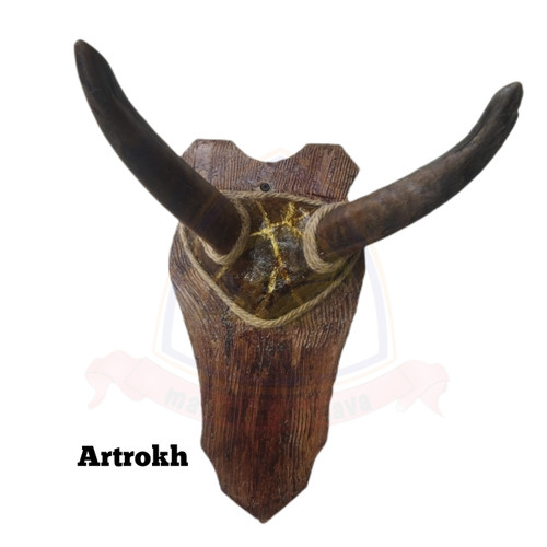 دیوارکوب شاخ