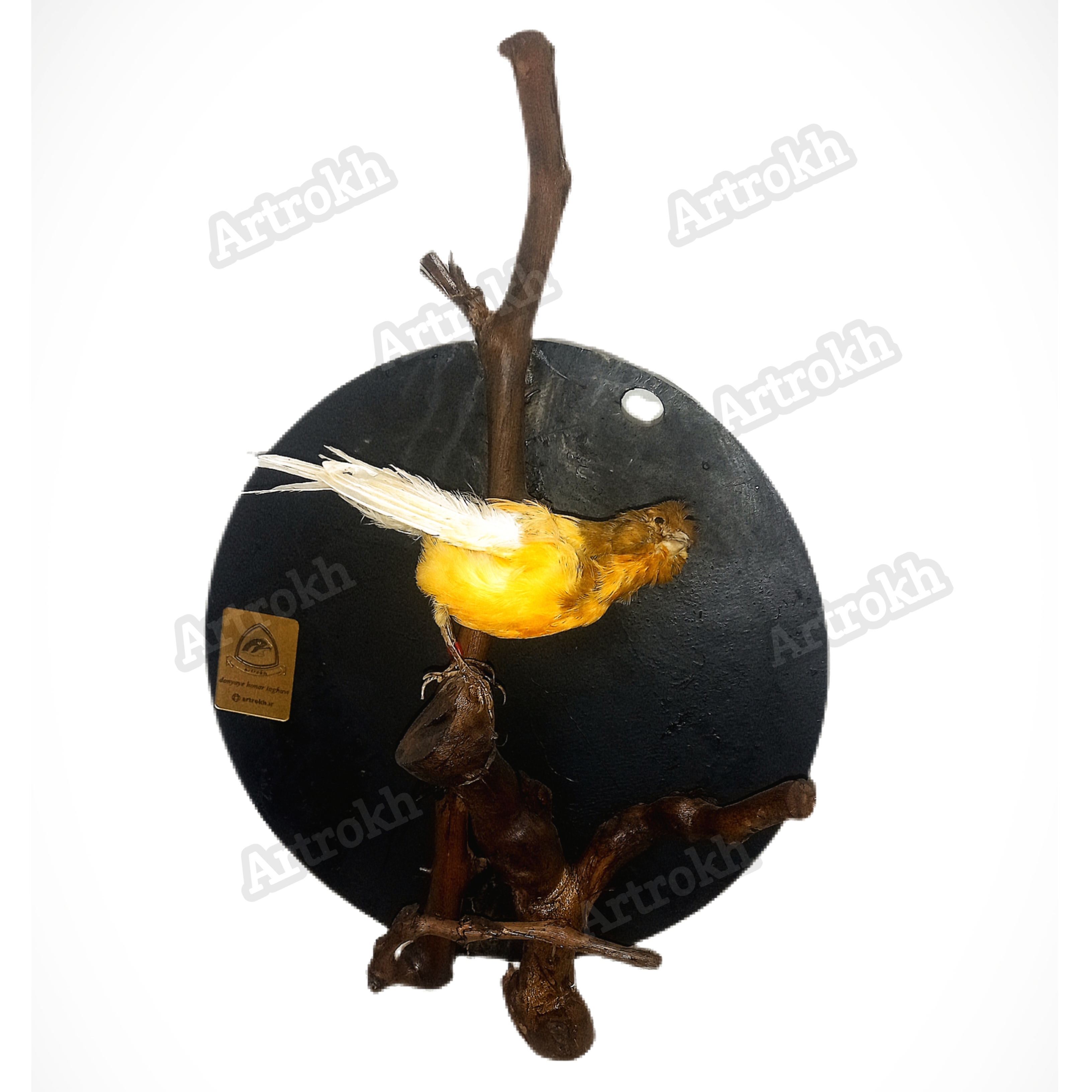 قاب طبیعت با چوب و پرنده